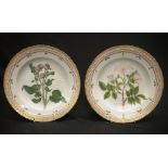 Two Royal Copenhagen Flora Danica dinner plates