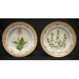 Two Royal Copenhagen Flora Danica dinner plates