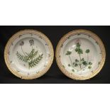 Two Royal Copenhagen Flora Danica dinner plates