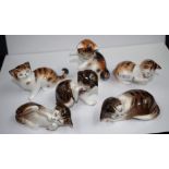 Set 6 Royal Doulton Kittens HN series