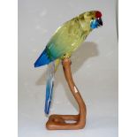 Swarovski green Rosella Jonquil parrot figurine