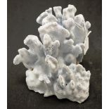 Blue coral specimen