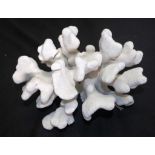 Cauliflower coral specimen