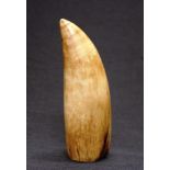 Sperm whale ivory tooth