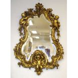 Ornate Rococo style gilt framed mirror