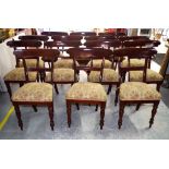 Fourteen cedar bar back dining chairs