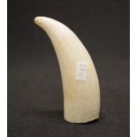 Antique whale tooth