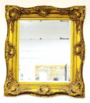 Ornate gilt framed mirror