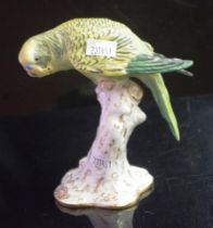 Royal Worcester Budgerigar figurine