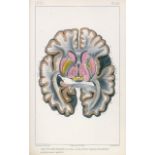 Luys, Jules Bernard: Recherches sur le système nerveux cérébro-spinal sa stru...