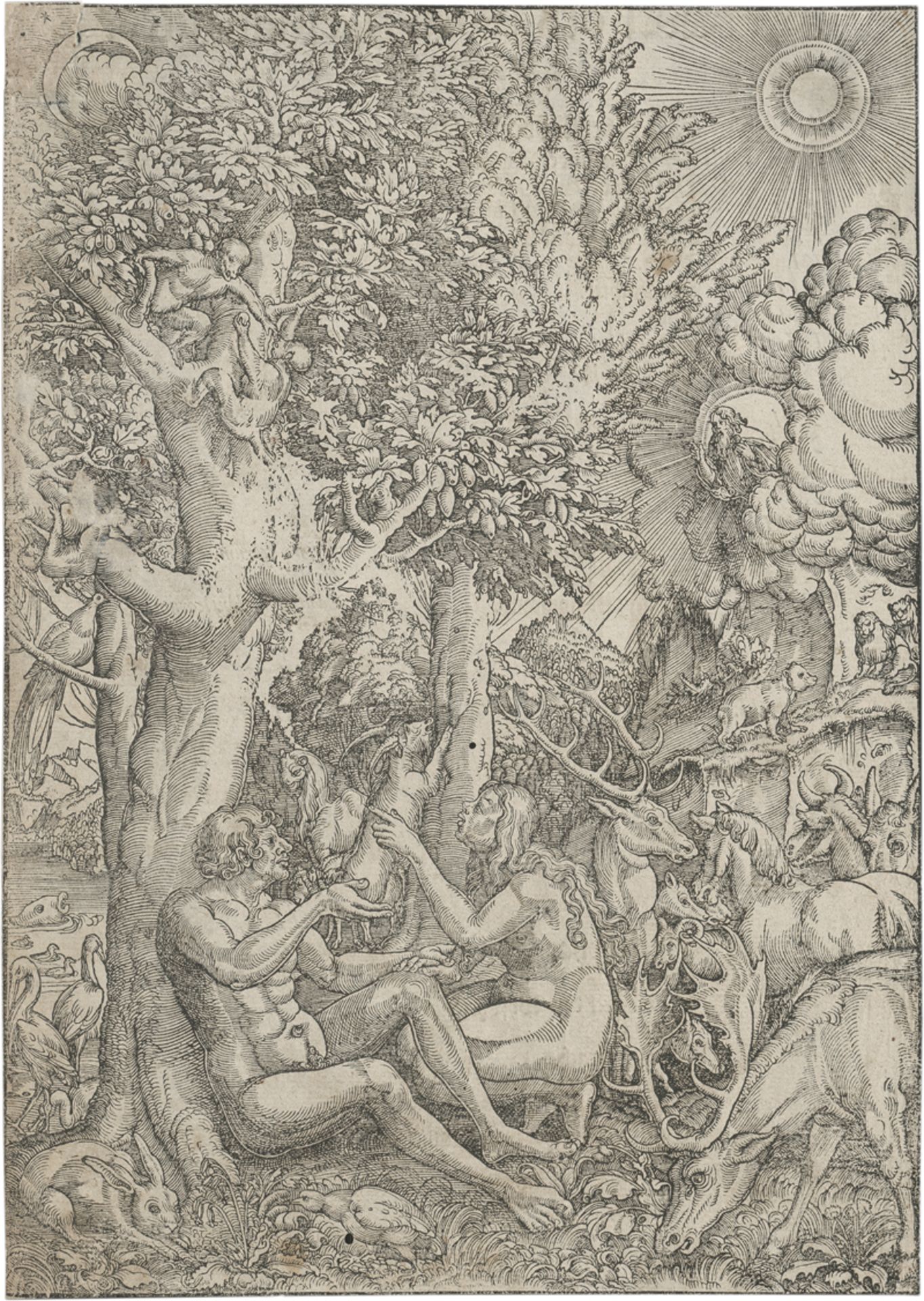 Altdorfer, Erhard: Adam und Eva im Garten Eden