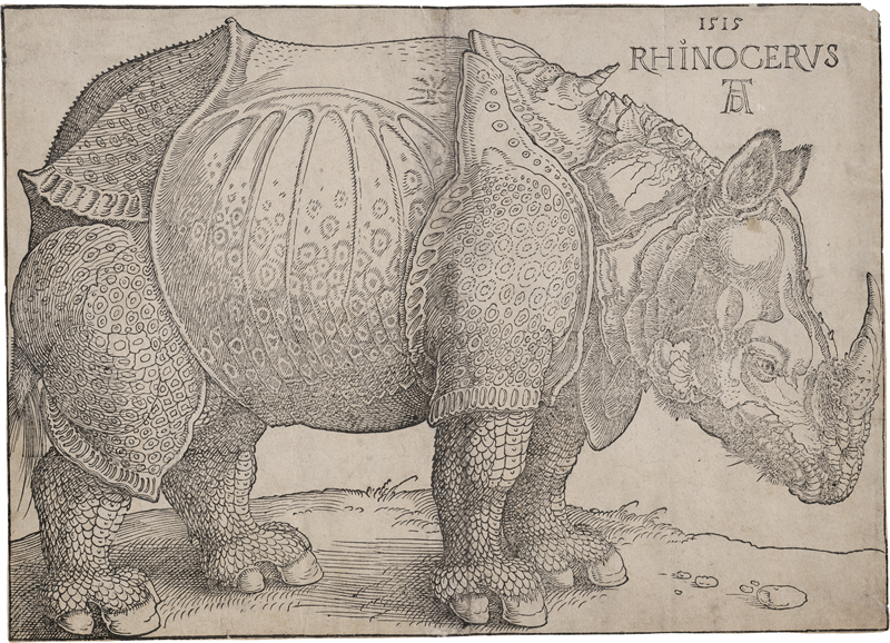 Dürer, Albrecht: Das Rhinozeros