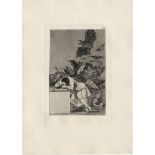 Goya, Francisco de: El Sueno de la Razon produce Monstruos