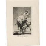 Goya, Francisco de: Los Caprichos