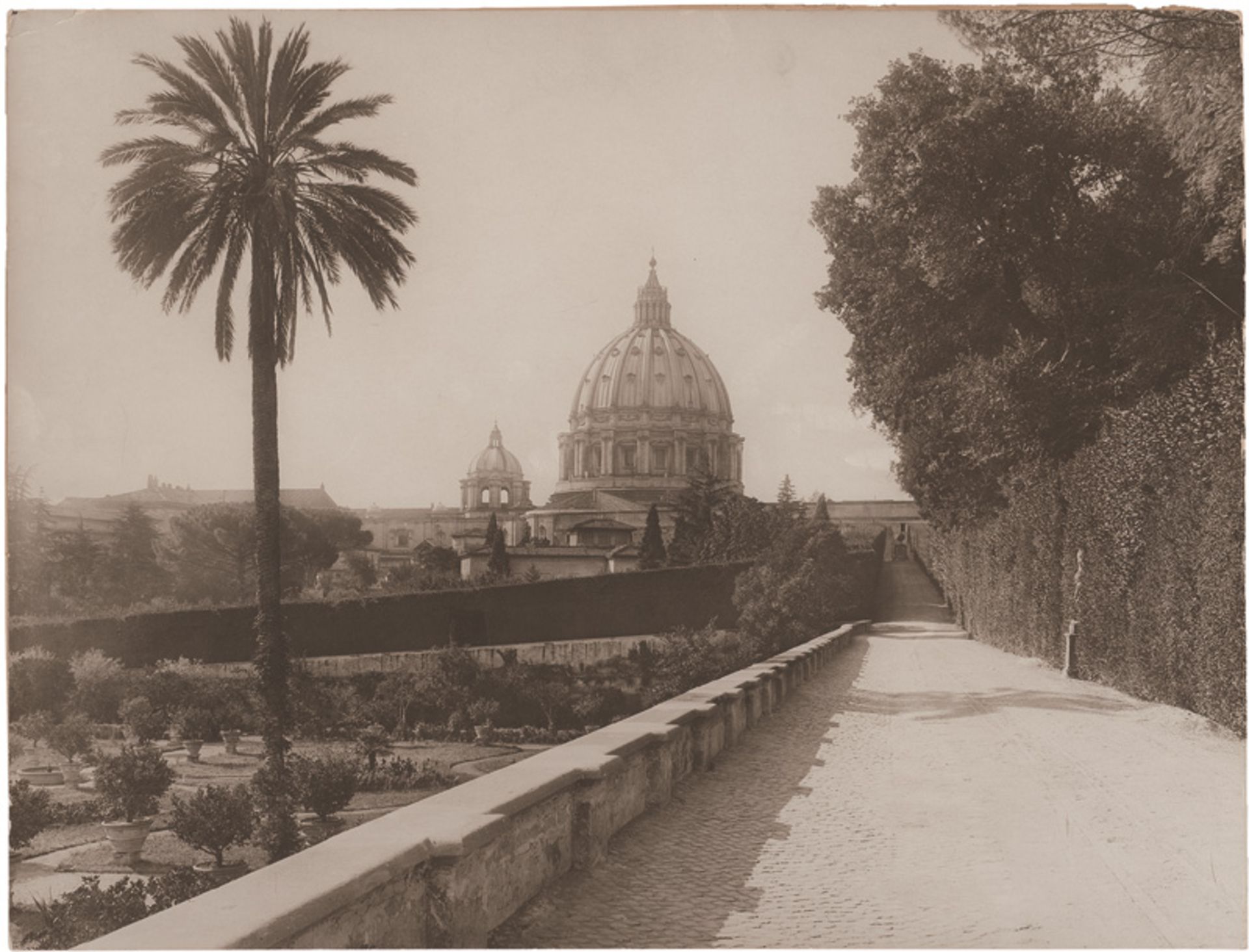 Alinari, Fratelli: View of St. Peter's, Rome