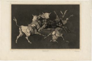 Goya, Francisco de: Disparate de Tontos - "Lluvia de Toros (Pluie de taureau...