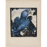 Jungnickel, Ludwig H.: Papageien