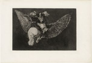 Goya, Francisco de: Disparate volante