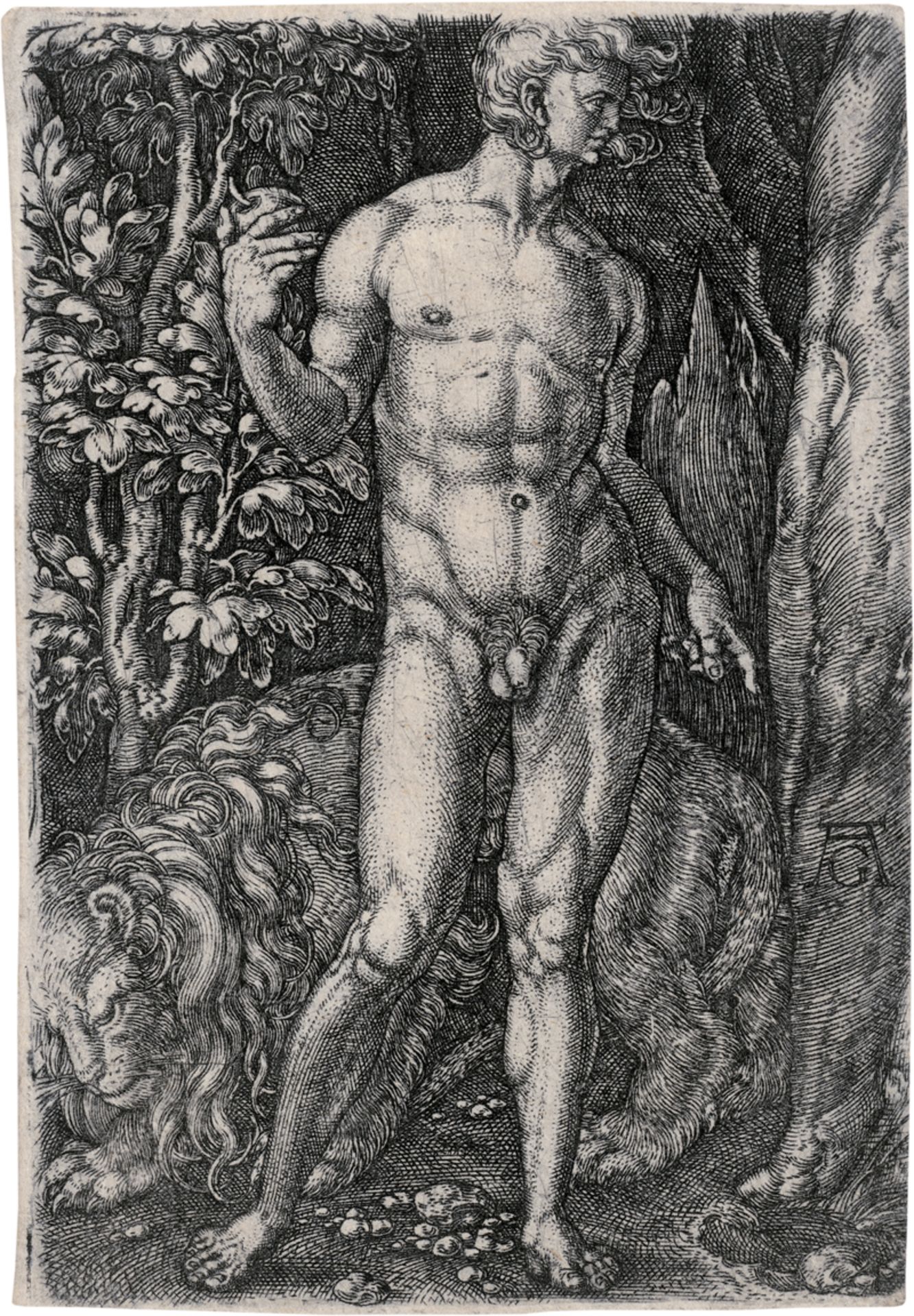 Aldegrever, Heinrich: Adam mit dem Löwen