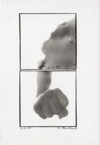 Florschuetz, Thomas: Untitled. 21.VII.85 (diptych)