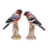 A pair of Meissen figures of bullfinches naturalistically modelled perched on tree stumps,