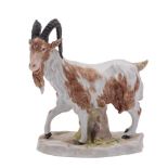 A Continental figure of a goat in the Meissen manner naturalisically modelled and on tree stump