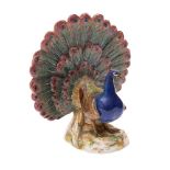 A Meissen figure of a displaying peacock after a model by J.J.
