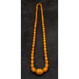 A Baltic amber bead necklace, length of beads ca. 11.8-33.3mms, length of necklace ca.