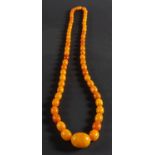 A graduated, amber bead necklace, the amber of varying hue from yellow to brownish orange,