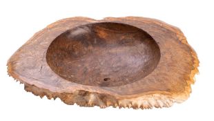 A burr walnut polished bowl of oval outline, 49cm wide.