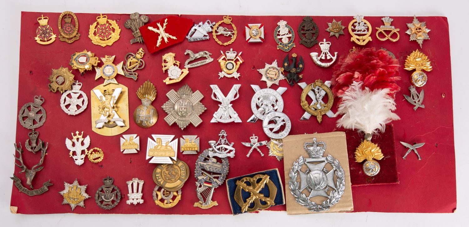 A collection of modern British Army cap badges including Princess of Wales's Own Regiment,