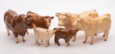 A group of Beswick cattle comprising a Charolais cow,