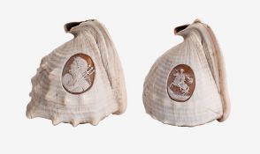 Two conch shells carved with cameos, the carvings 19th century,