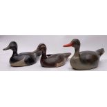 Three painted wooden decoy ducks, probably early 20th century, largest 41cm.