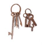 Nine various keys including a cranked key with plain bow: (9)