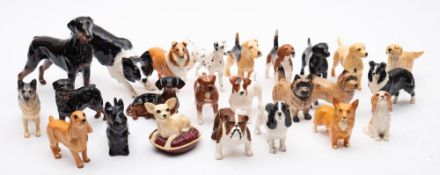 Beswick Dogs; A large collection of twenty-four models of various sizes.
