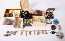A small collection of various of costume jewellery, including Scottish mounted Grouse foot brooch,