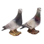 Two Beswick Pigeons, model 1383, one in a matt finish the other in a glass finish,
