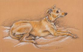 Ania Shreeve (British contemporary school) Portrait of a recumbent whippet signed lower