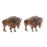A pair of fine Viennese bronze models of buffalo, by Franz Bergman,