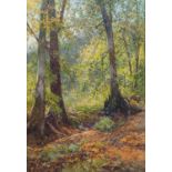 Frederick John Widgery (British, 1861-1942) Mamhead Woods, Exeter Watercolour 34 x 23.