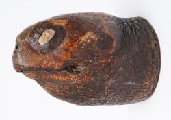 A late 19th century taxidermy giant tortoise head, 25cm long.