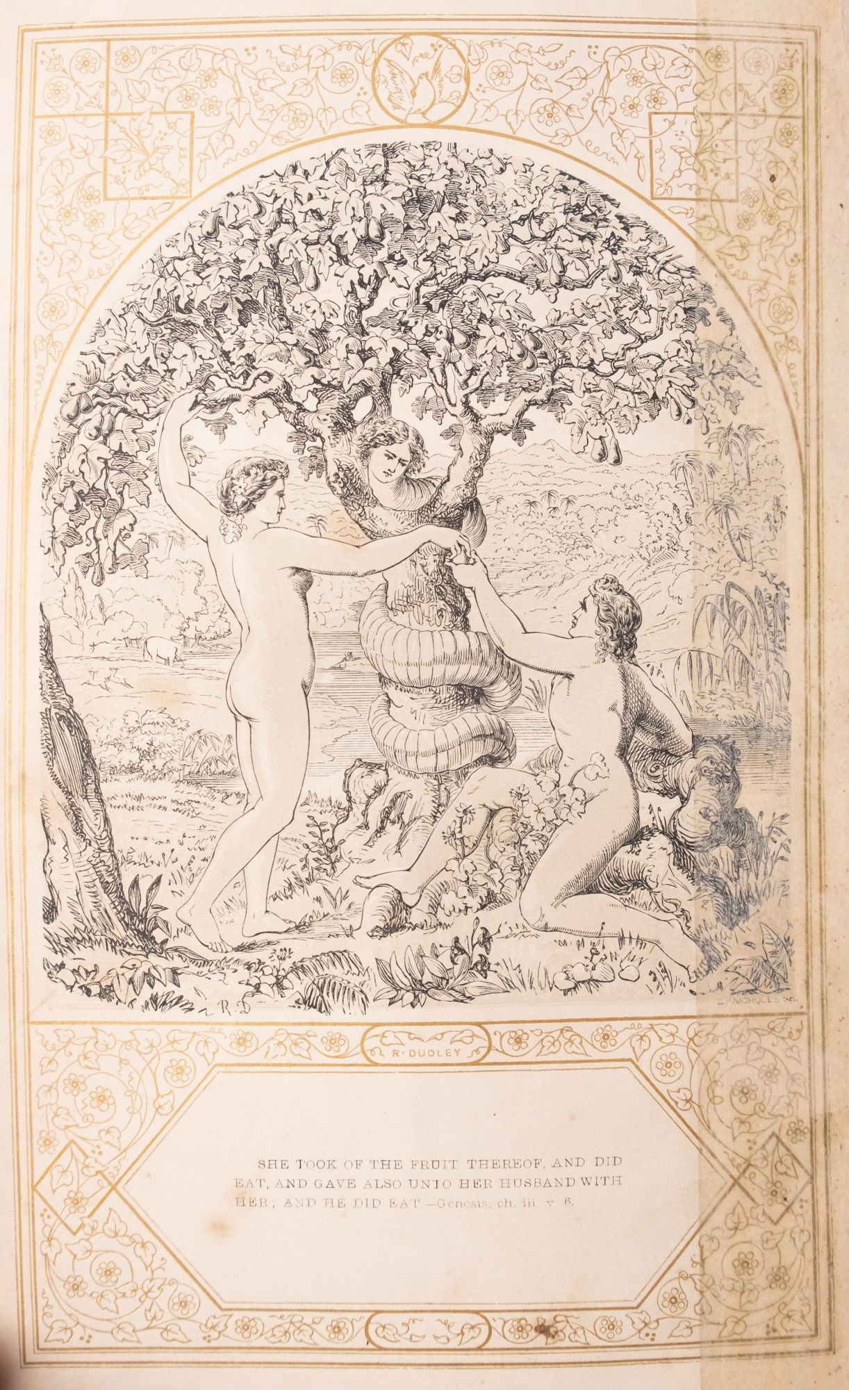 BIBLE - Illustration by Robert Dudley, Designed by Owen Jones, Original relievo calf, - Image 3 of 4