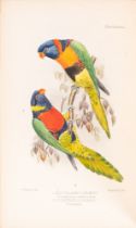 SETH-SMITH, David - Parrakeets, A Handbook to the Imported Species, 20 colour plates after H.