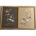 2 framed and glazed water colours by Suzanne Trim. A flowering blackberry stem and a flowering