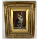 A gilt framed antique oil on wooden panel of a long haired tabby cat. Indistinct signature to back