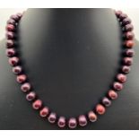 A 16 inch knotted Bordeaux red pearl necklace with silver lobster claw clasp.