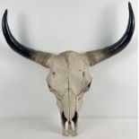 A large modern resin wall mountable ornament of a buffalo skull and horns. With metal fixing plate