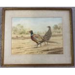 A vintage framed & glazed watercolour of pheasants, signed to lower left 'A Sadler-Key F'. Frame
