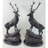 A pair of very large bronze left & right facing stag figures mounted on black marble bases. Each